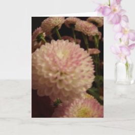 Tarjeta Flores rosadas de zinnia