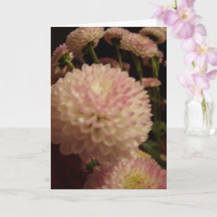 Tarjeta Flores rosadas de zinnia