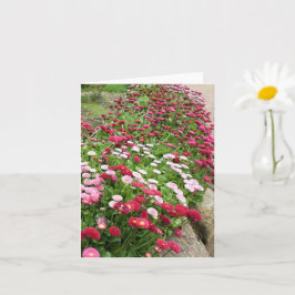 Tarjeta Flores rosadas en flor