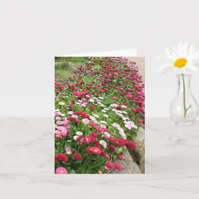 Tarjeta Flores rosadas en flor (Planta pequeña)