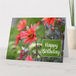 Tarjeta Flores rosadas y rojas de Dahlia Wisley Feliz cump
