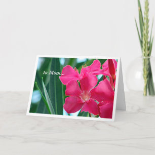Tarjeta Flores rosas