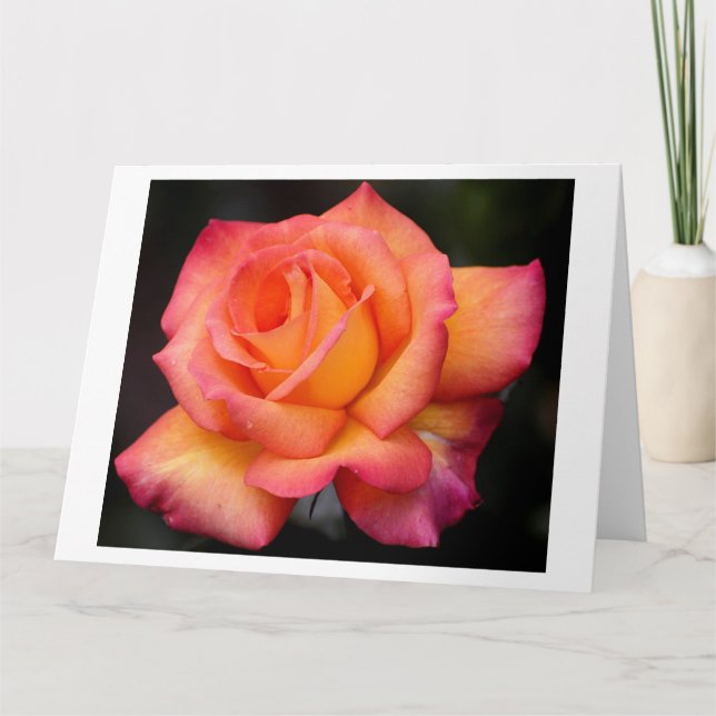 Tarjeta Flores rosas florales florecen pétalos (Anverso)