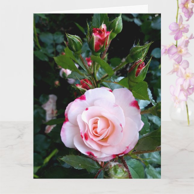 Tarjeta Flores rosas, rosas blancas rojas rosadas (Orquídea)