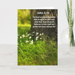 Tarjeta Flores salvajes John 3:16 Bible Verse Greeting Car