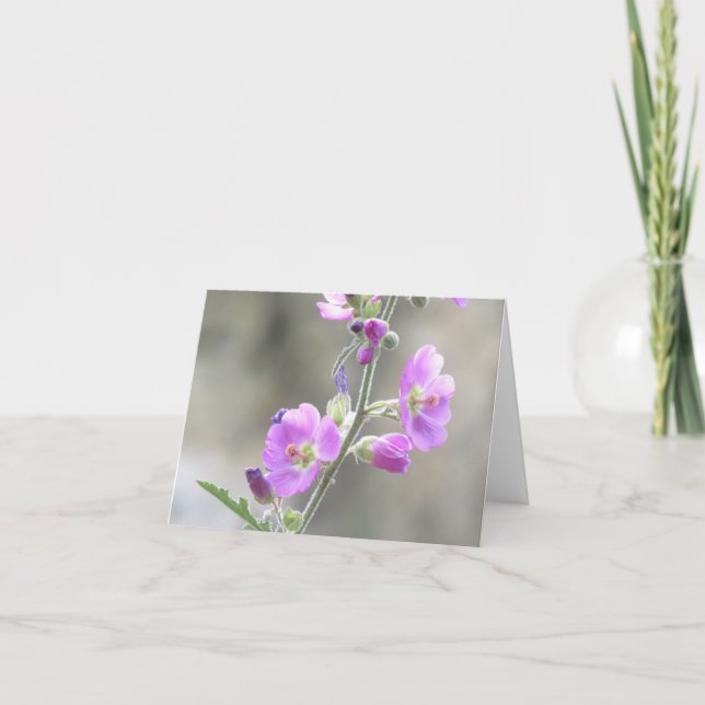 Tarjeta Flores salvajes rosadas de malvavilaje de glóbulos (Anverso)