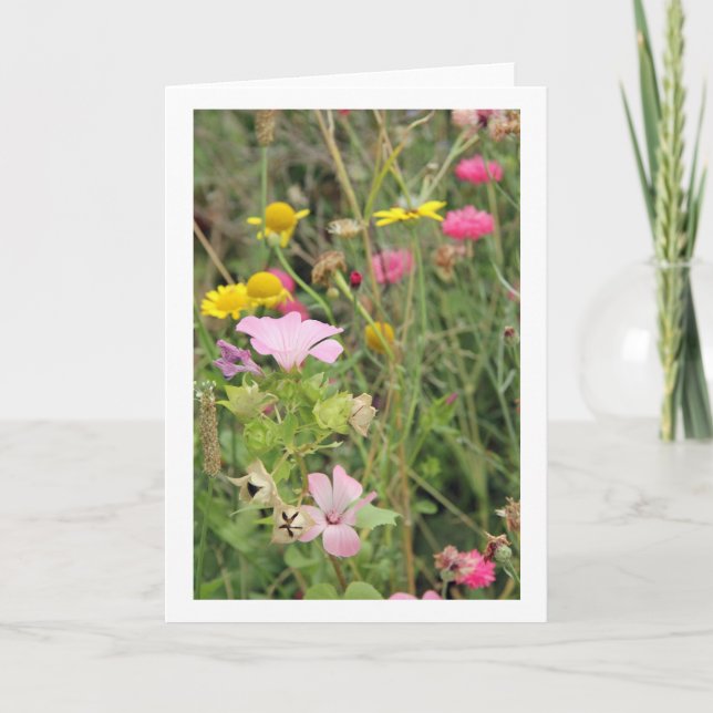 Tarjeta Flores salvajes (tarjeta de felicitación) (Anverso)