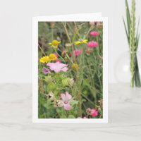 Flores salvajes (tarjeta de felicitación)