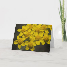 Tarjeta Flores silvestres amarillas