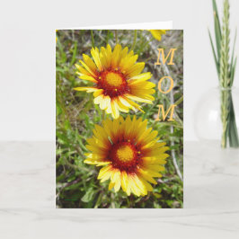 Tarjeta Flores silvestres amarillas F8 Gaillardia
