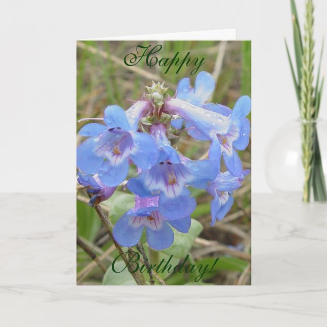 Tarjeta Flores silvestres azules F3 Slender Blue Beardtong (Anverso)