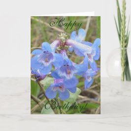 Tarjeta Flores silvestres azules F3 Slender Blue Beardtong