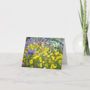 Tarjeta Flores Silvestres Coloridas de Verano Floral 