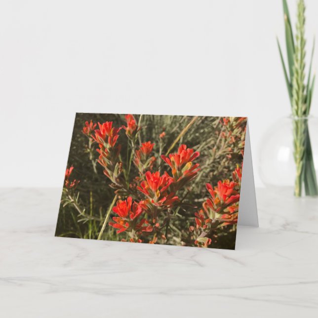 Tarjeta Flores silvestres de pincel de pintura india (rojo (Anverso)