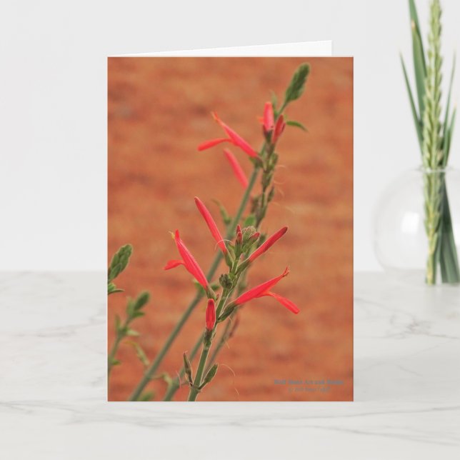 Tarjeta Flores silvestres del desierto rojo brillante Humm (Anverso)
