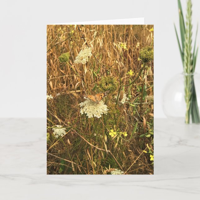 Tarjeta Flores silvestres en Cabo Blanco, Costa de Oregón (Anverso)