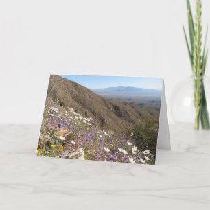 Tarjeta Flores silvestres en el Parque Nacional Saguaro I