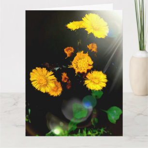 Tarjeta Flores silvestres en la carta del sol