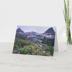 Tarjeta Flores silvestres y lago oculto, Shrubby