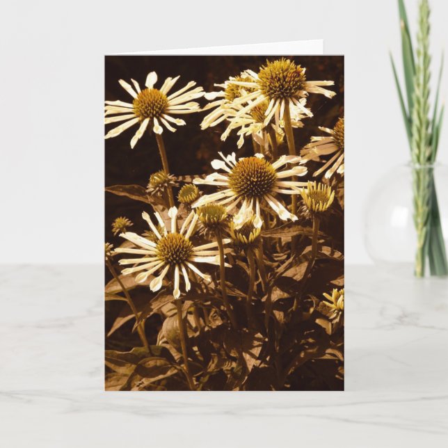 Tarjeta Flores Sunshine (Anverso)