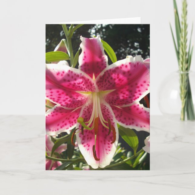 Tarjeta Flores tropicales rosas lirios rosas florales rosa (Anverso)