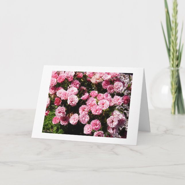 Tarjeta Flores Ver 1.0 (Anverso)