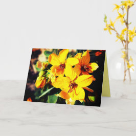 Tarjeta Flores vibrantes