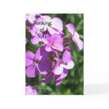 Flores violetas pensando en ti