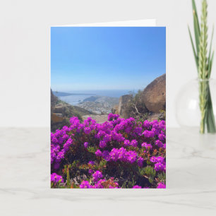 Tarjeta Flores violetas silvestres Santorini Grecia Fotogr