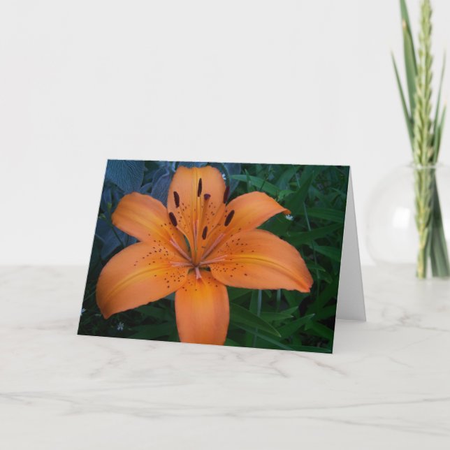 Tarjeta Flores y plantas (Anverso)