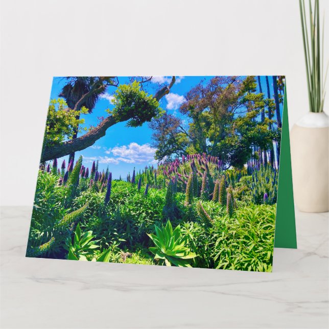 Tarjeta Flores y vegetación (Anverso)