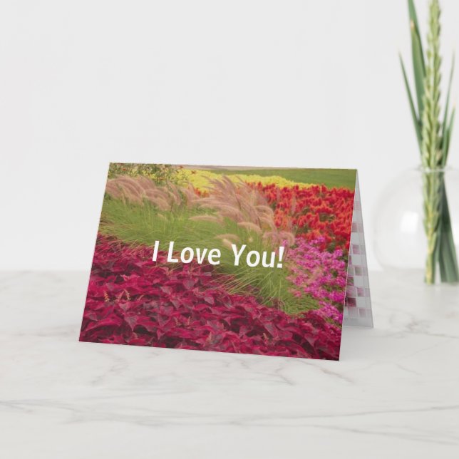 Tarjeta FloresMuy Coloridas1, ¡Te Amo! (Anverso)