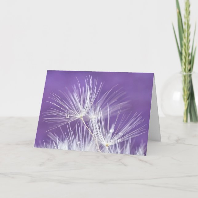 Tarjeta Floretes del diente de león (Anverso)