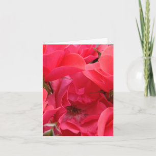 Tarjeta florida rosa rosa rosa