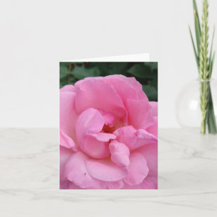Tarjeta florida rosa rosa rosa