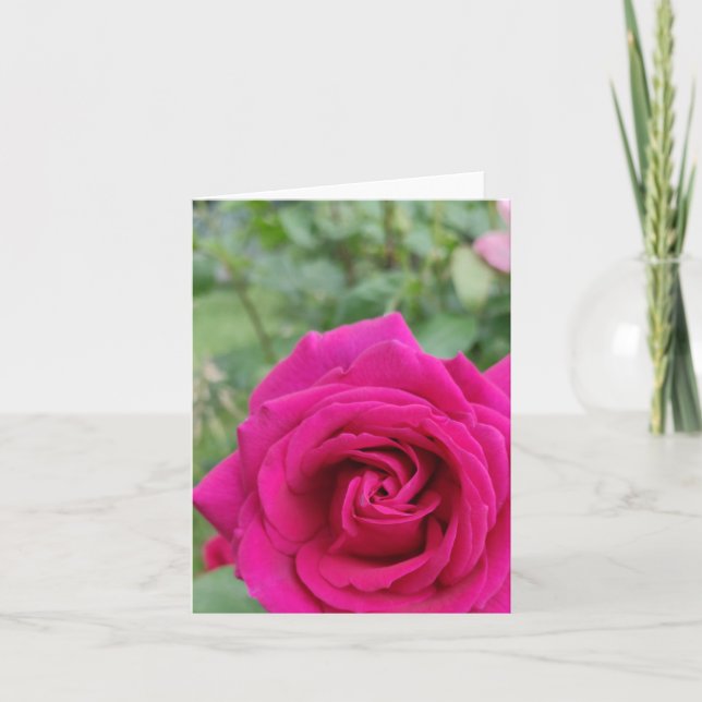Tarjeta florida rosa rosa rosa (Anverso)