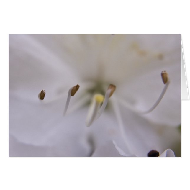 Tarjeta flotante (Anverso (Horizontal))