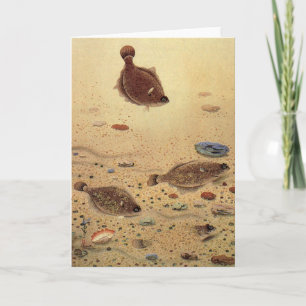 Tarjeta Flounders vintage, peces planos de vida marina