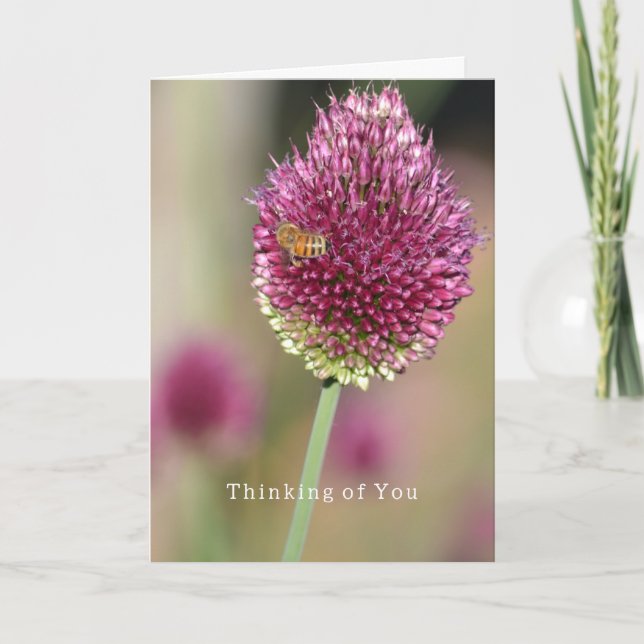 Tarjeta Flower Bee Thinking of You (photography by me) (Anverso)