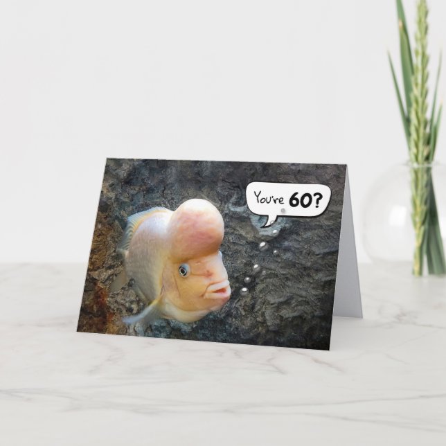 Tarjeta Flowerhorn Fish 60th Birthday Humor (Anverso)