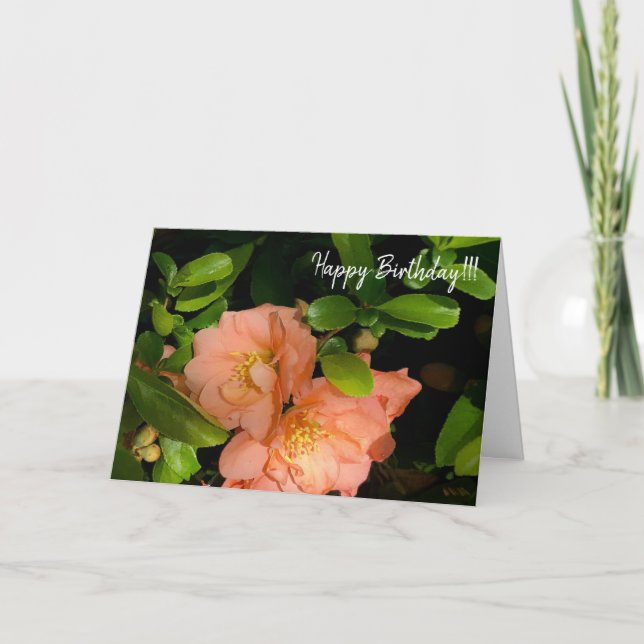 Tarjeta Flowering Quince 1-18  greeting card (Anverso)