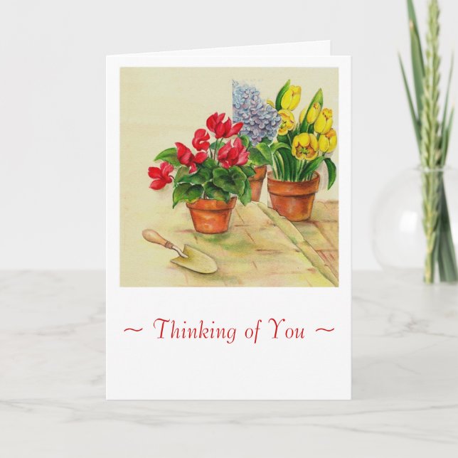 Tarjeta flowerpotssimpatía (Anverso)