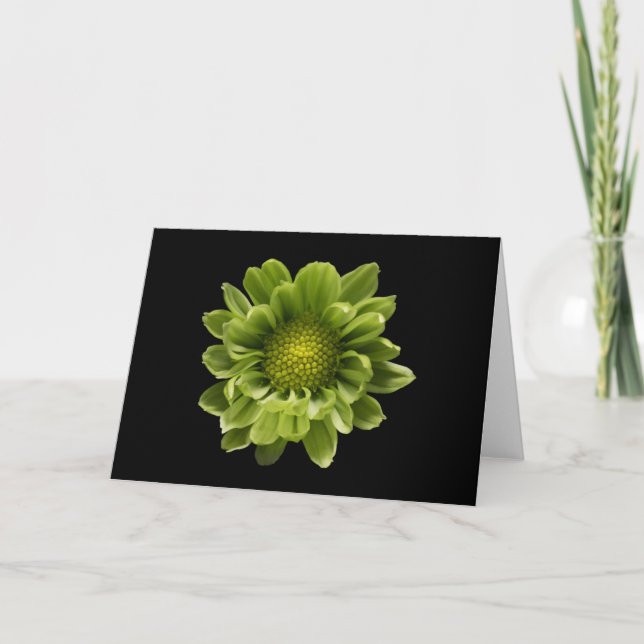 Tarjeta Flowers | Green Chrysanthemum (Anverso)