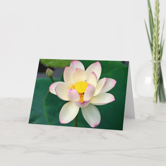 Tarjeta Flowers | Lotus Water Flower (Anverso)