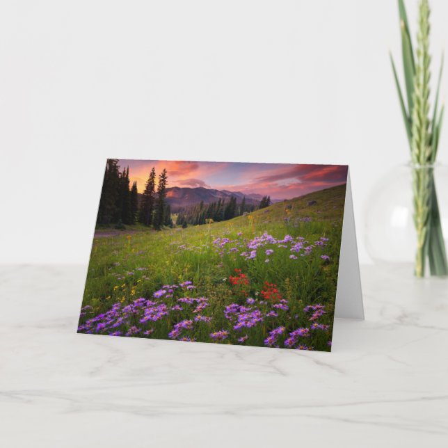 Tarjeta Flowers | Purple Wildflowers Colorado (Anverso)