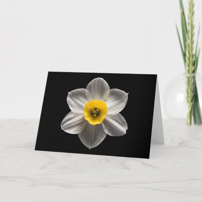 Tarjeta Flowers | White Daffodil Flower (Anverso)
