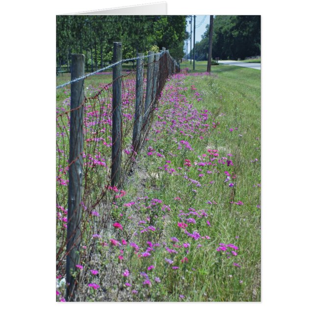 Tarjeta Flox Salvaje (Frente)