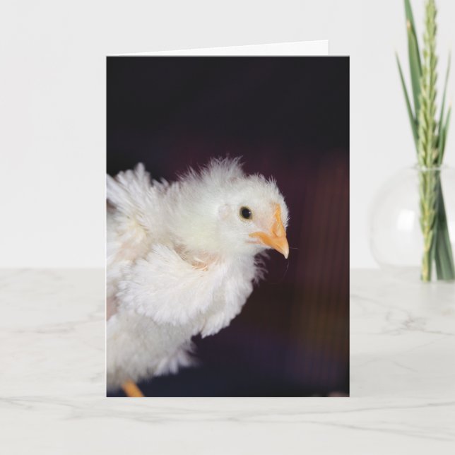 Tarjeta Fluctuación (Anverso)