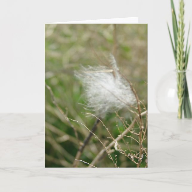 Tarjeta Fluctuación (Anverso)