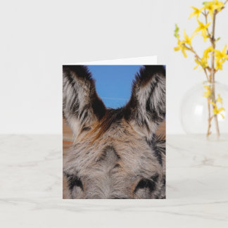 Tarjeta Fluffy Burro - Thank You Card